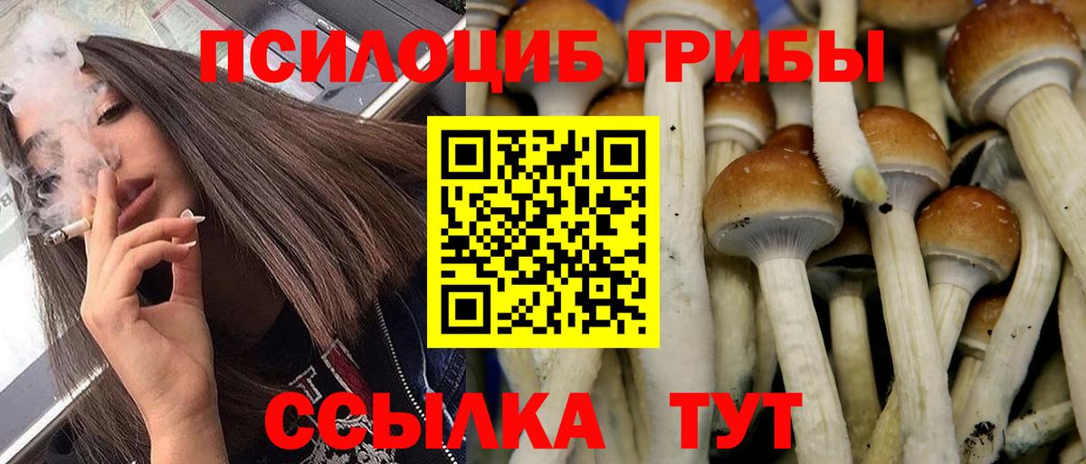 Гуково  Псилоцибиновые грибы Magic Shrooms  Вход с VPN  Псилоцибиновые грибы Psilocybine cubensis 